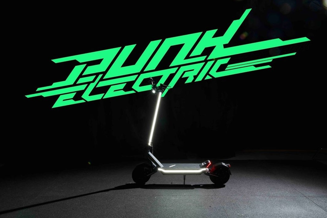 PUNK RIDER
