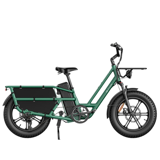 Fiido T2 Longtail Cargo E-bike