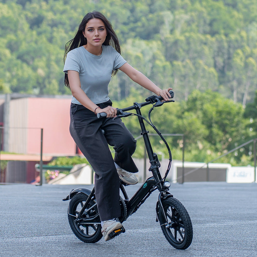 Fiido D3 Pro Mini Electric Bike