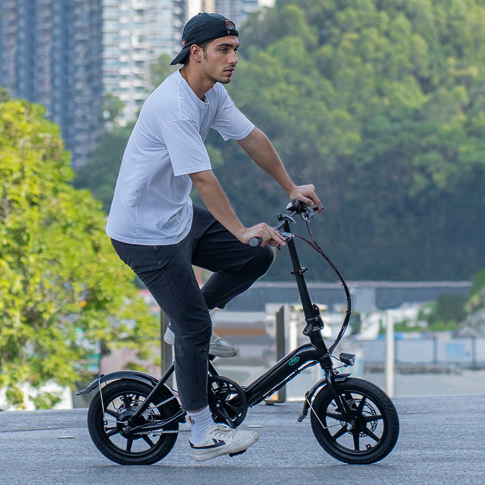 Fiido D3 Pro Mini Electric Bike