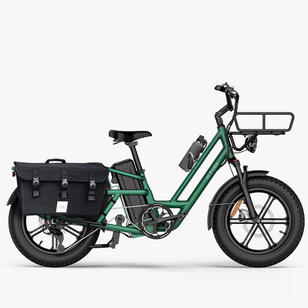 Fiido T2 Longtail Cargo E-bike