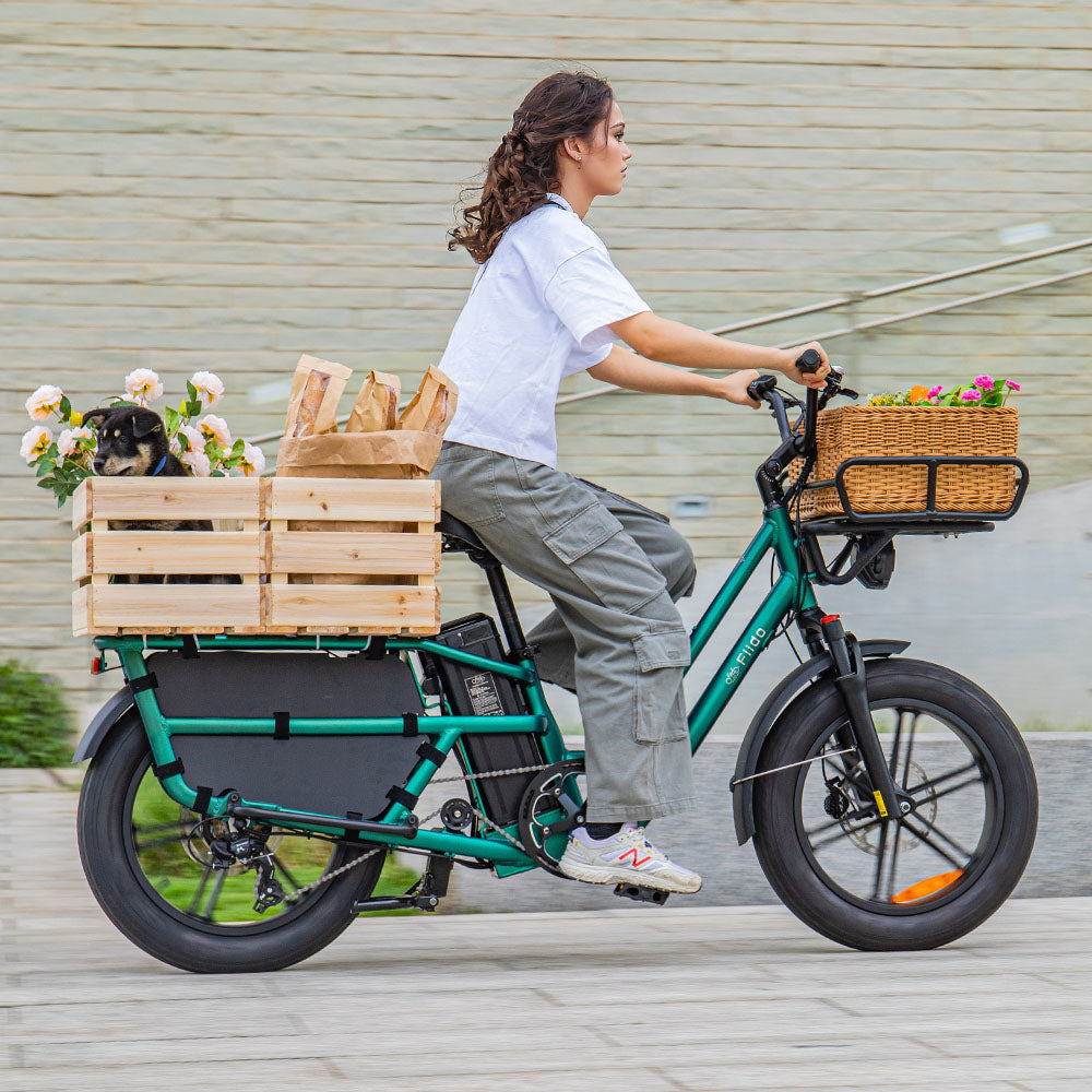 Fiido T2 Longtail Cargo E-bike