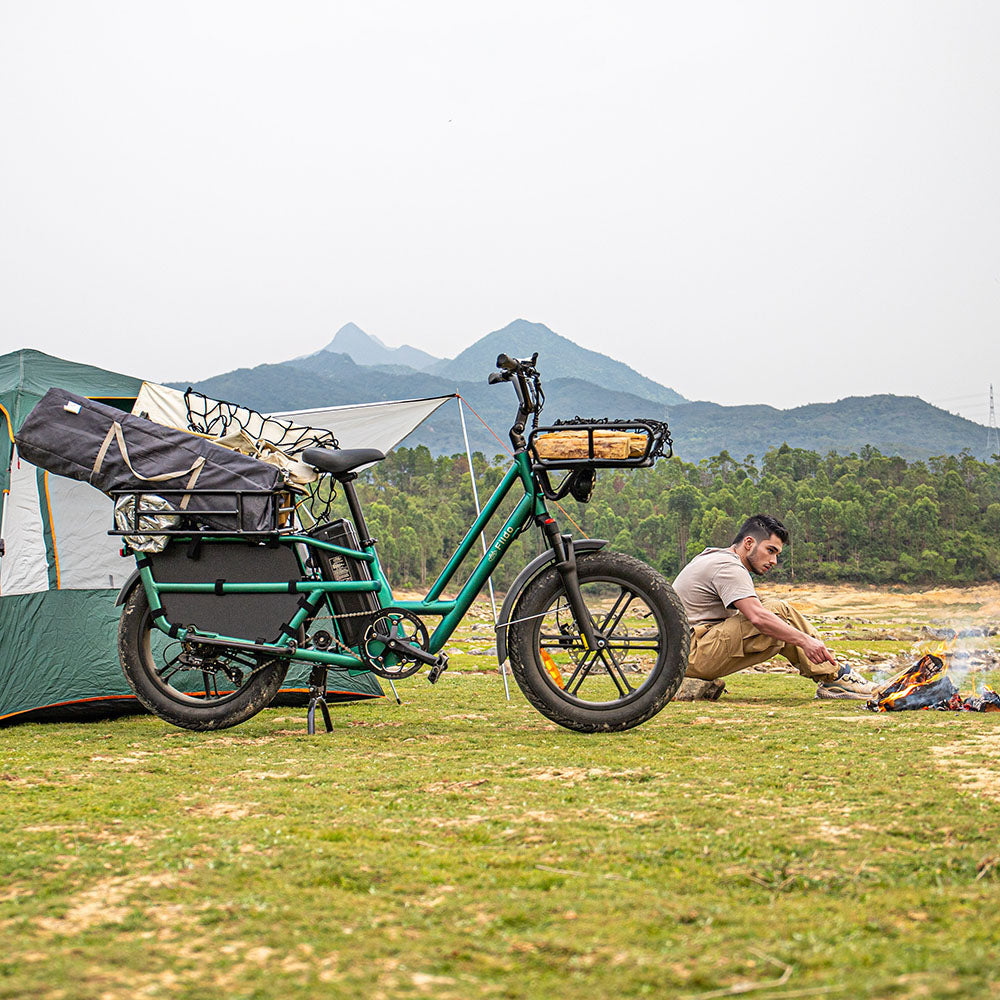 Fiido T2 Longtail Cargo E-bike