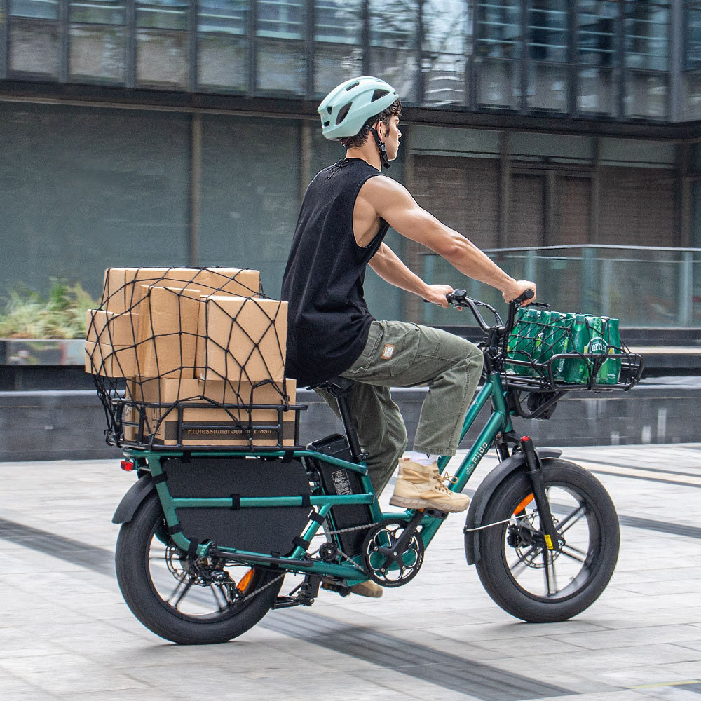 Fiido T2 Longtail Cargo E-bike