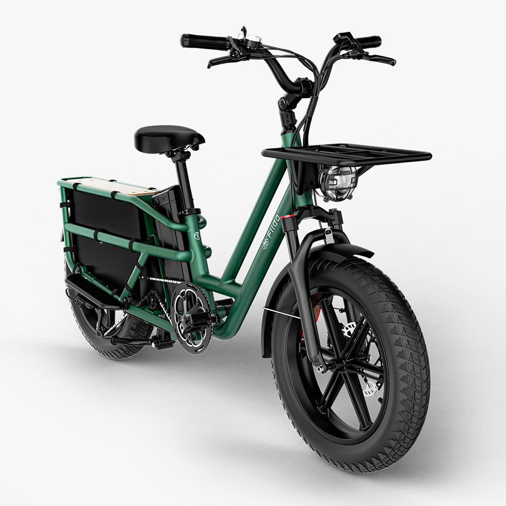 Fiido T2 Longtail Cargo E-bike