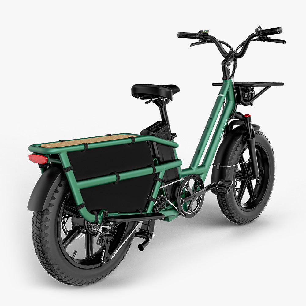 Fiido T2 Longtail Cargo E-bike