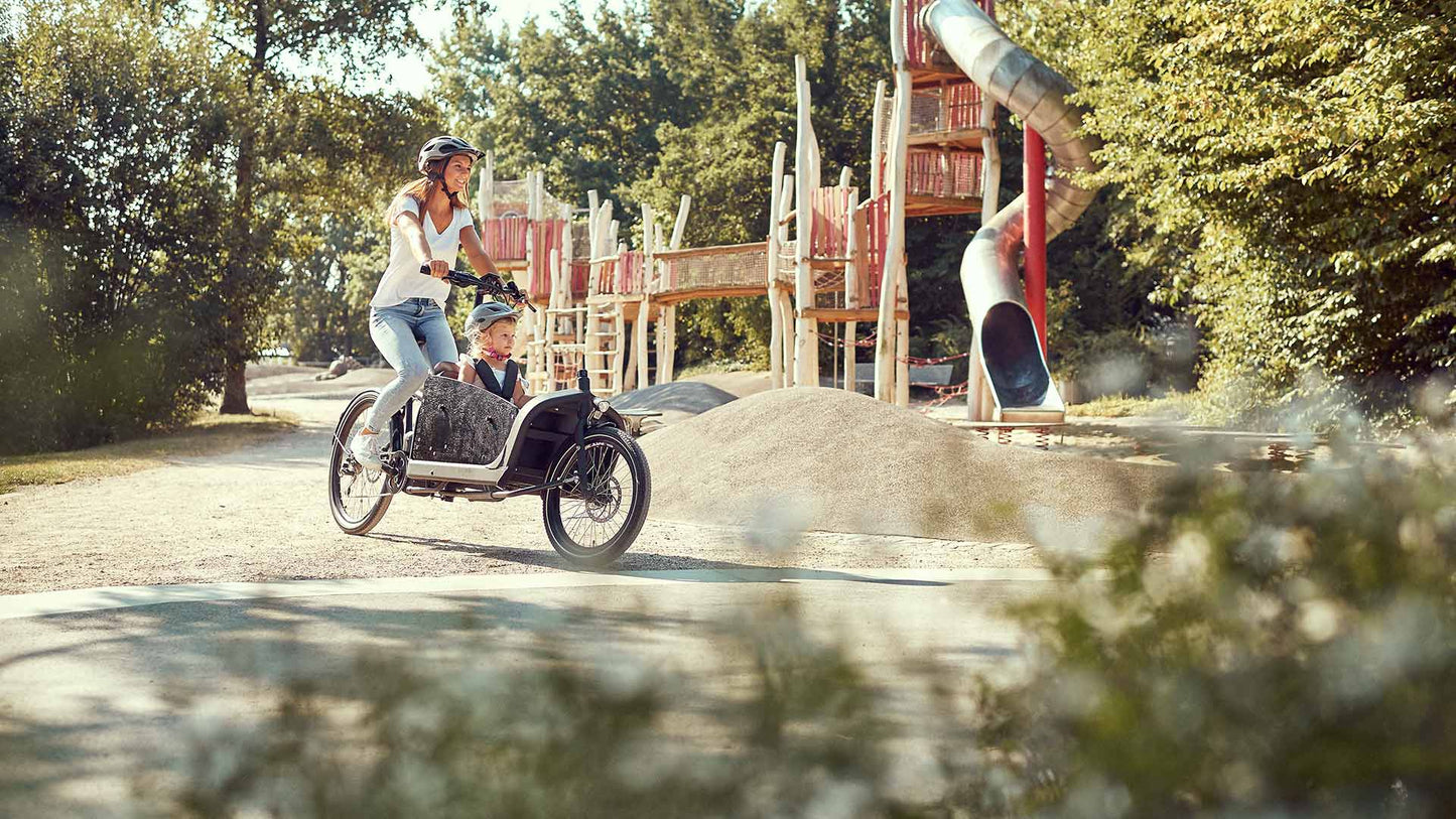PROPHETE Cargo e-Bike | AEG ComfortDrive - UNFUEL