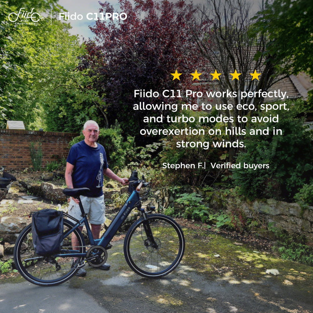 Fiido C11 Pro City E-Bike