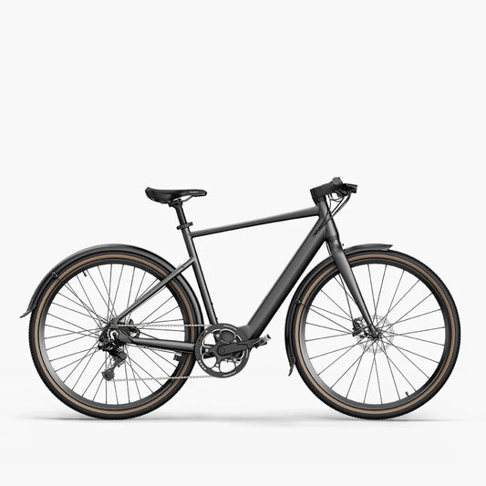 Fiido C21 Gravel & City E-Bike