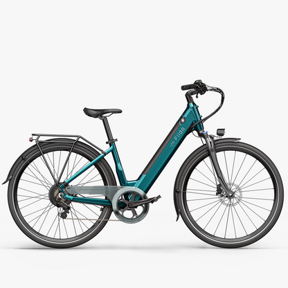 Fiido C11 City E-Bike