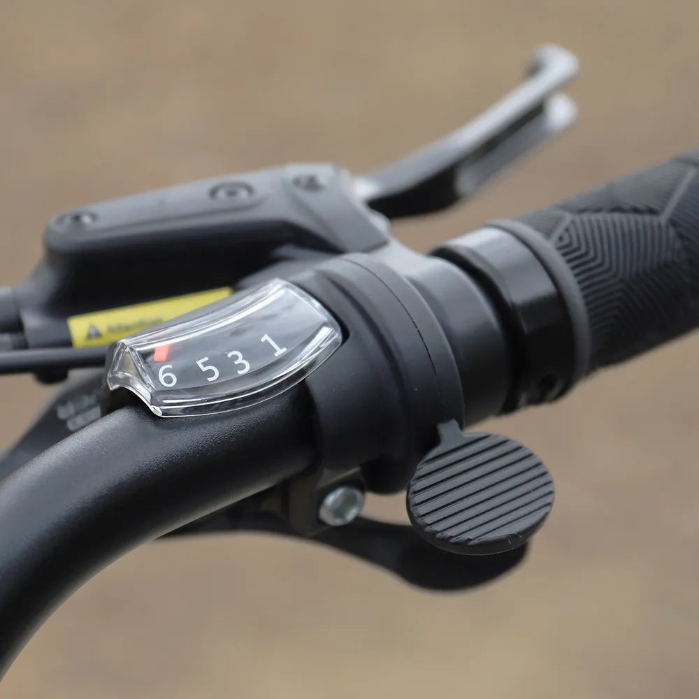 Fiido C11 City E-Bike