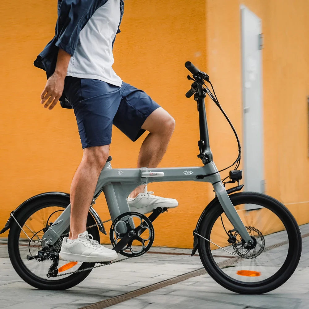 Fiido D11 Folding E-bike