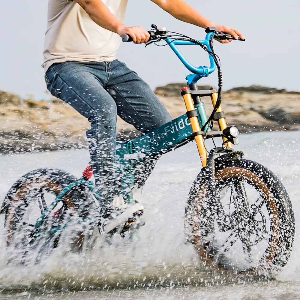 Fiido M1 Pro Bicicleta Elétrica Fat Tire