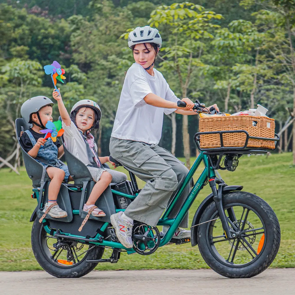 Fiido T2 Longtail Cargo E-bike