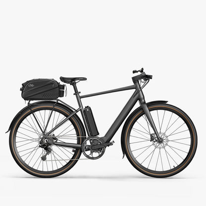 Fiido C21 Gravel & City E-Bike