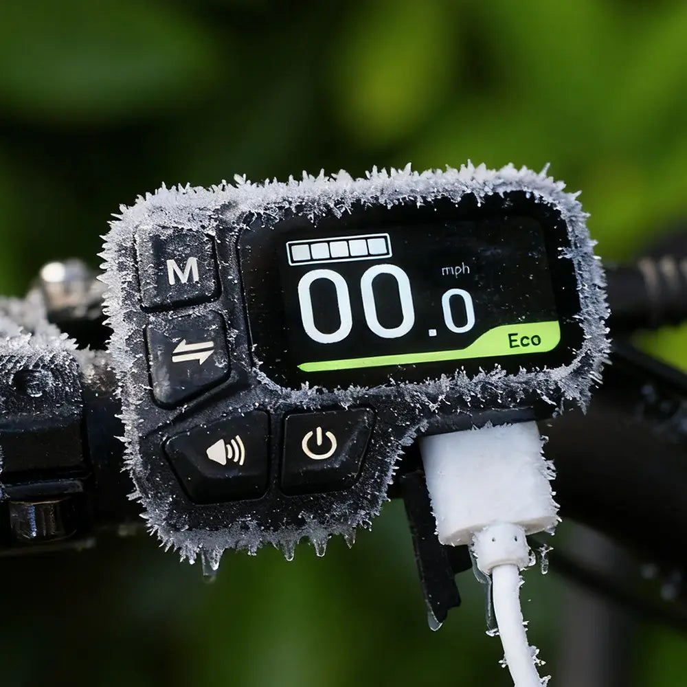 Fiido C11 City E-Bike