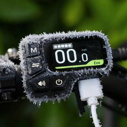 Fiido C11 City E-Bike