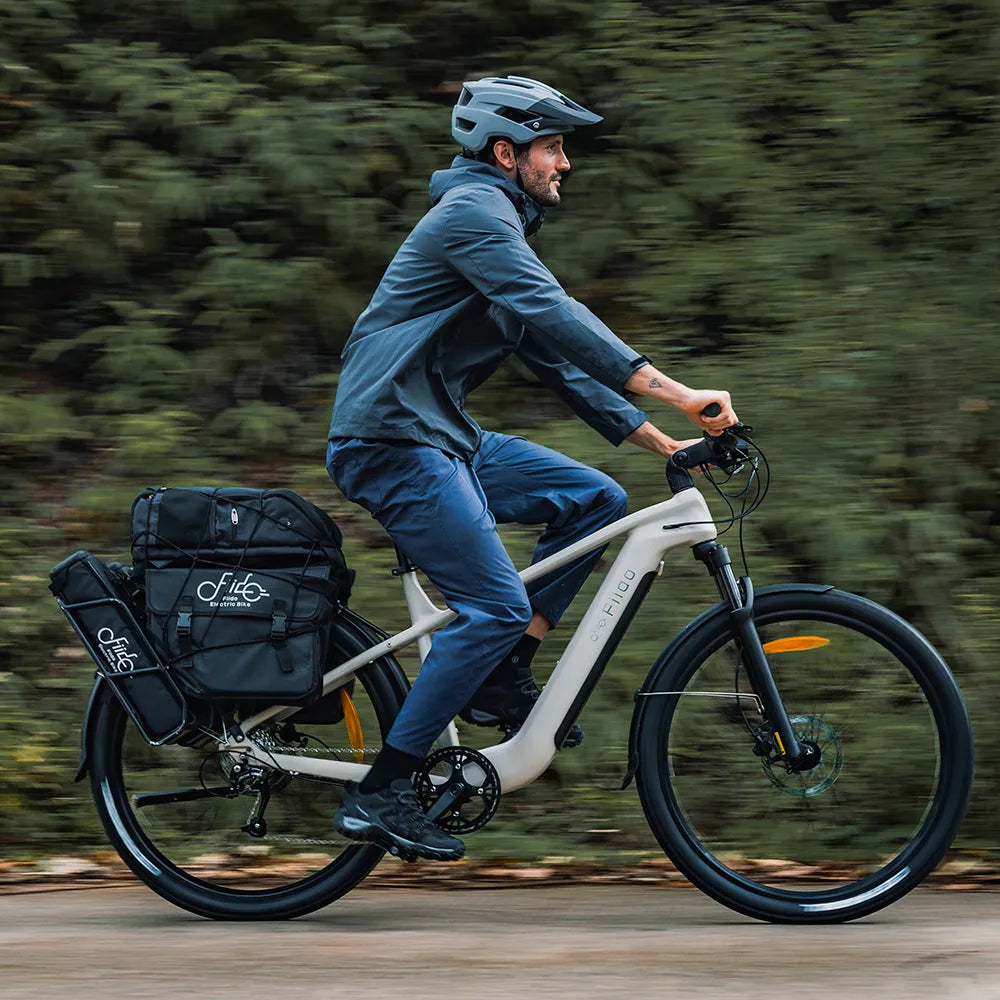 Fiido Nomads Touring E-bike