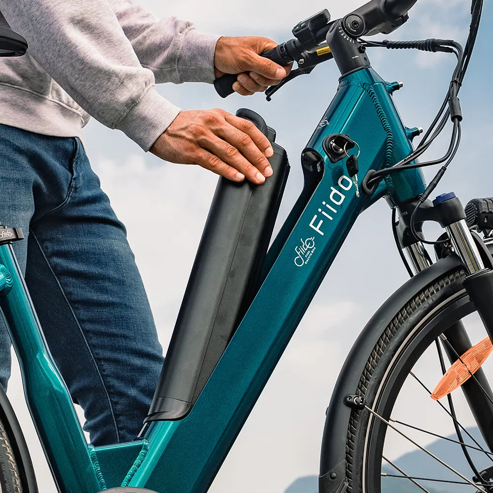 Fiido C11 City E-Bike