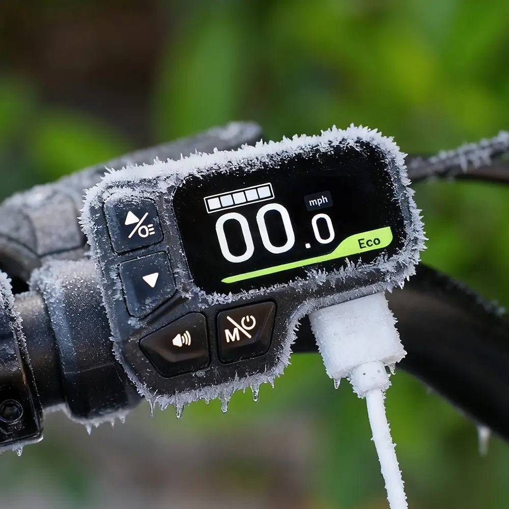 Fiido D11 Folding E-bike