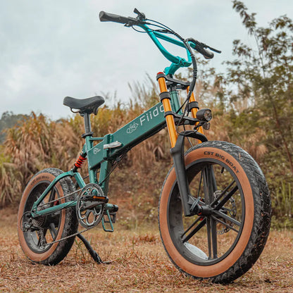 Fiido M1 Pro Bicicleta Elétrica Fat Tire