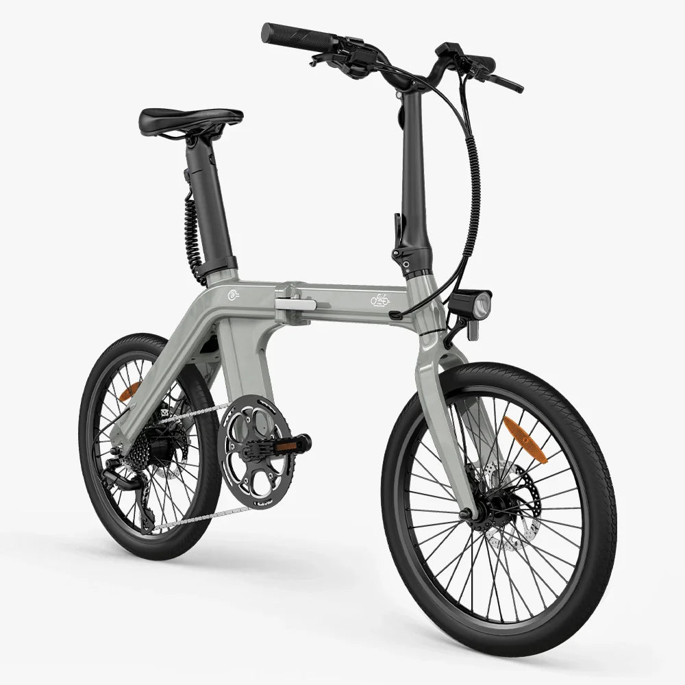 Fiido D11 Folding E-bike