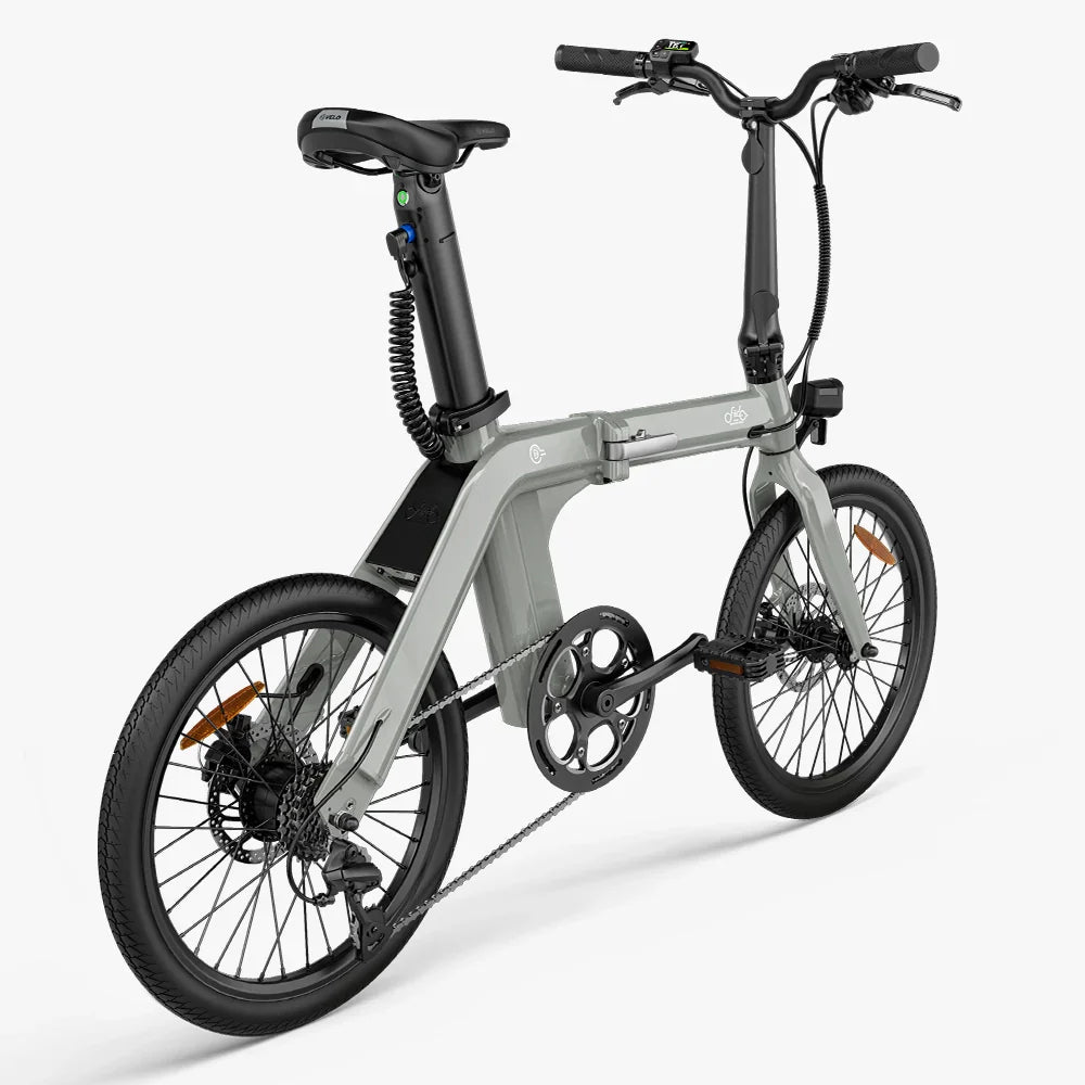 Fiido D11 Folding E-bike