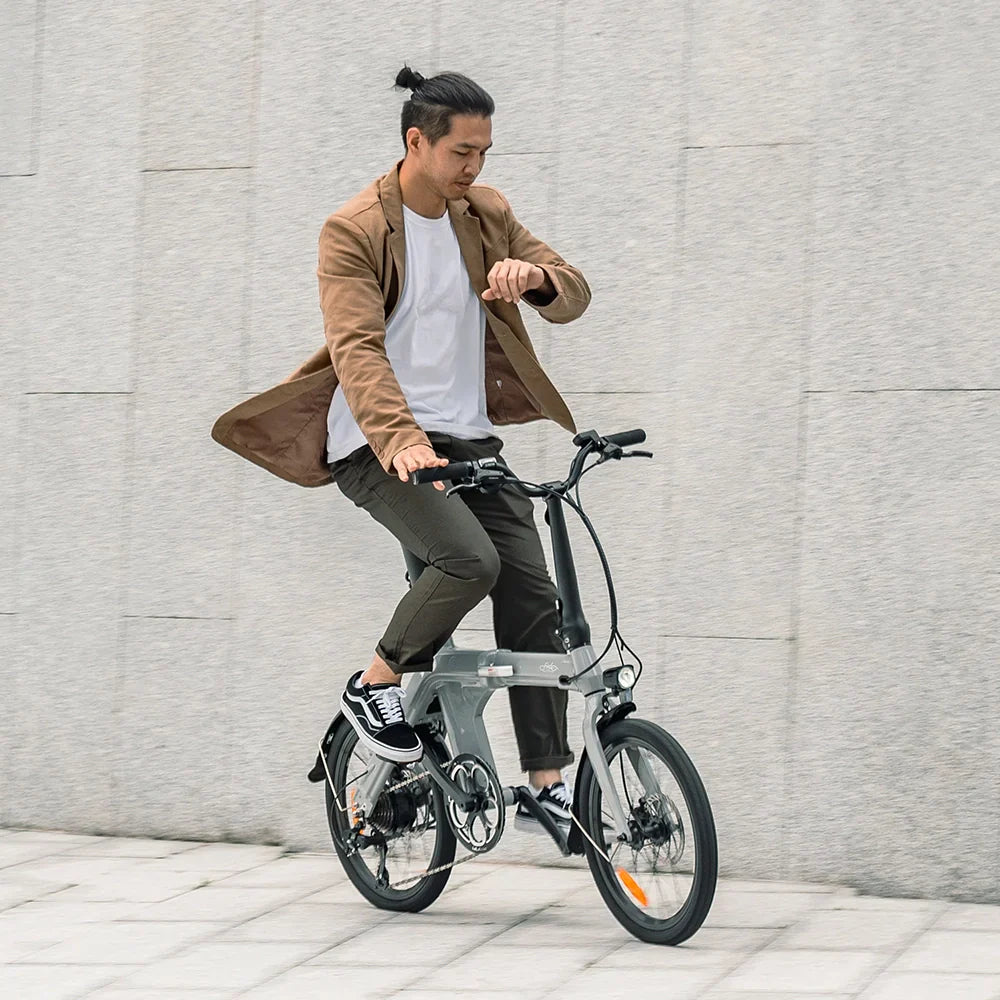 Fiido D11 Folding E-bike