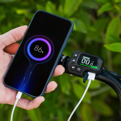 Fiido C11 Pro City E-Bike