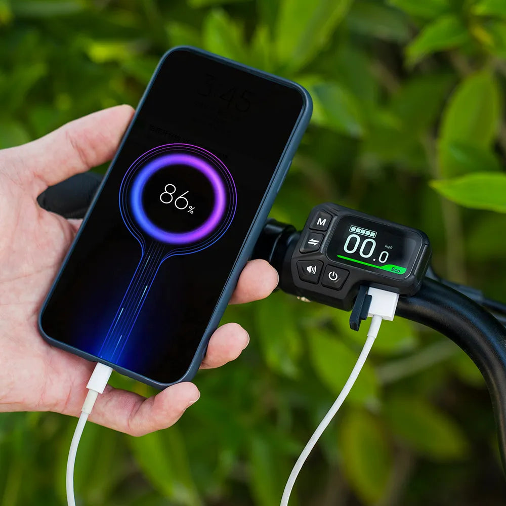 Fiido C11 City E-Bike