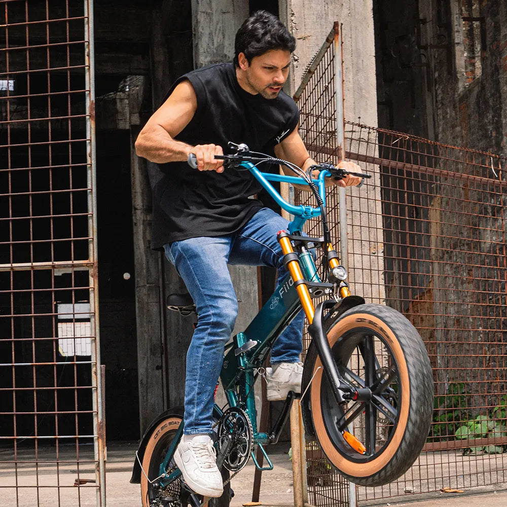 Fiido M1 Pro Bicicleta Elétrica Fat Tire