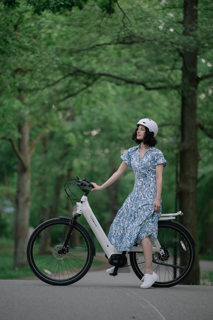 TENWAYS AGO T  | Urban All-rounder e-Bike | 100 km