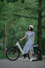 Carregar imagem no visualizador da galeria, TENWAYS AGO T  | Urban All-rounder e-Bike | 100 km
