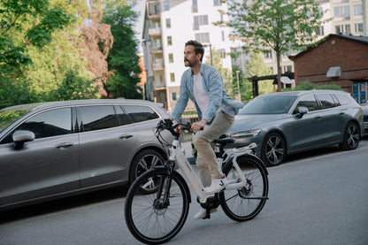 TENWAYS AGO T  | Urban All-rounder e-Bike | 100 km