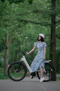 TENWAYS AGO T  | Urban All-rounder e-Bike | 100 km