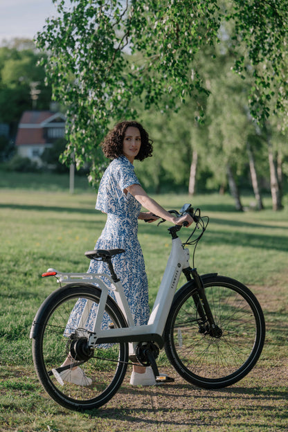 TENWAYS AGO T  | Urban All-rounder e-Bike | 100 km