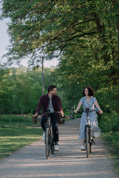 TENWAYS AGO T  | Urban All-rounder e-Bike | 100 km