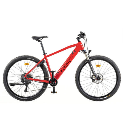 ECONIC ONE SMART Cross-Country | Sport e-Bike | 110 km