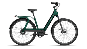 TENWAYS AGO T  | Urban All-rounder e-Bike | 100 km