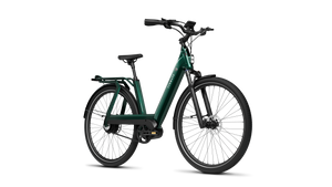 TENWAYS AGO T  | Urban All-rounder e-Bike | 100 km