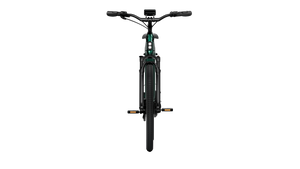 TENWAYS AGO T  | Urban All-rounder e-Bike | 100 km