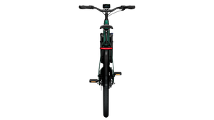 TENWAYS AGO T  | Urban All-rounder e-Bike | 100 km