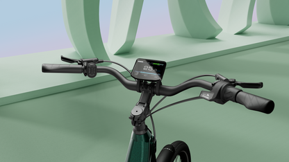 TENWAYS AGO T  | Urban All-rounder e-Bike | 100 km