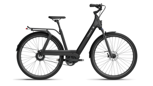 TENWAYS AGO T  | Urban All-rounder e-Bike | 100 km