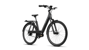 TENWAYS AGO T  | Urban All-rounder e-Bike | 100 km
