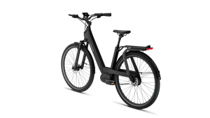 TENWAYS AGO T  | Urban All-rounder e-Bike | 100 km