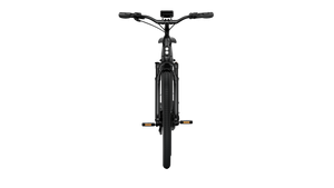 TENWAYS AGO T  | Urban All-rounder e-Bike | 100 km