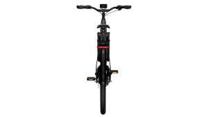 TENWAYS AGO T  | Urban All-rounder e-Bike | 100 km