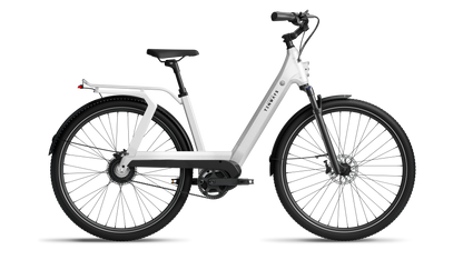 TENWAYS AGO T  | Urban All-rounder e-Bike | 100 km