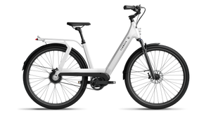 TENWAYS AGO T  | Urban All-rounder e-Bike | 100 km